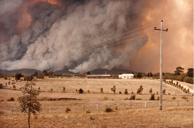 36 Amazing Historical Pictures. #9 Is Unbelievable - Ash Wednesday bushfires on the 16th of February 1983 in Australia.