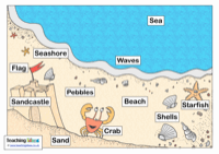seashorewordmat.gif