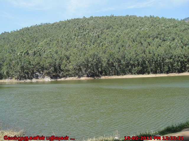 Echo Point Mattupatti Dam to Top Station Rd 