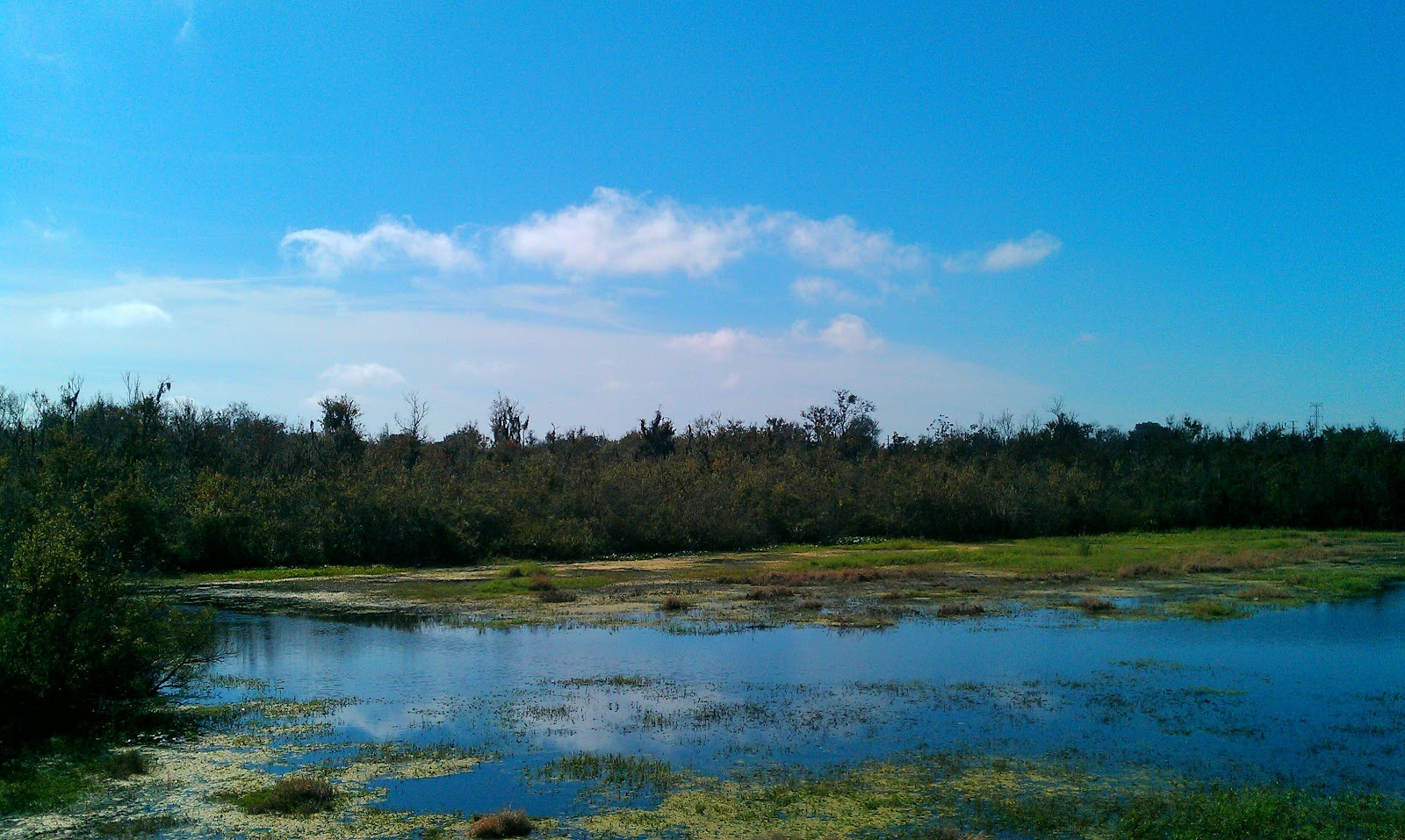The Tampa Bay Hiker Sawgrass Lake