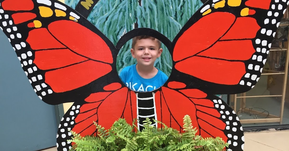 The Newman Family Deerfield Butterfly Conservatory