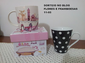 primeiro sorteio do blog Flores e Framboesas