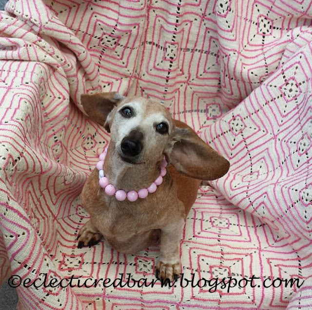 Eclectic Red Barn: Marina on her pink blanket with her pearls