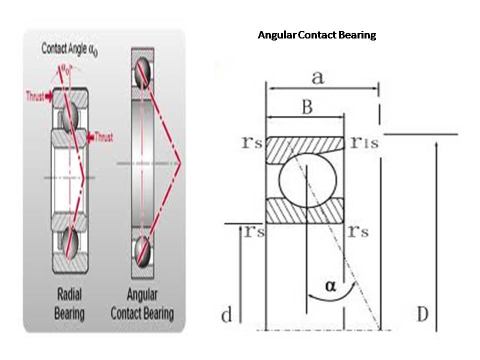 Mechanical Engineering Antifriction Bearing