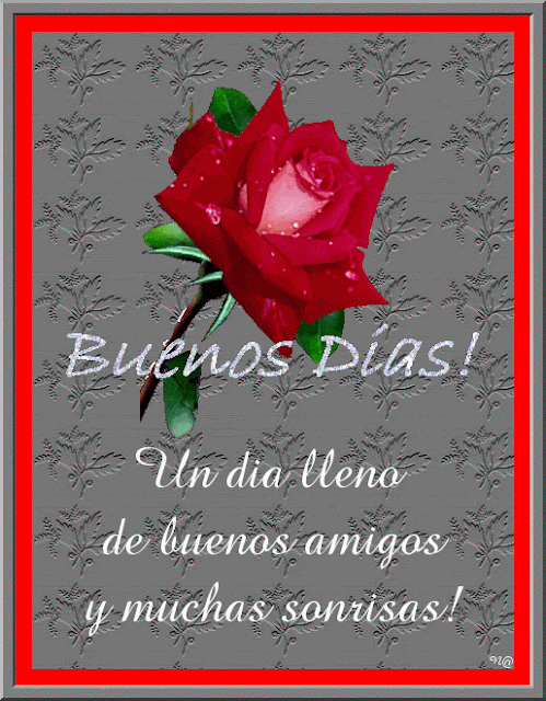 El Dia Que Queme Mi Corazon Donde Ver