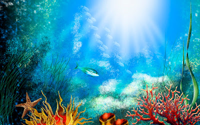 Animals Under Water Aquarium background