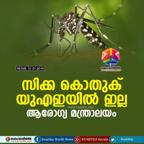 The UAE Health Ministry has confirmed that the mosquito which causes the Zika virus, spreading across the world,