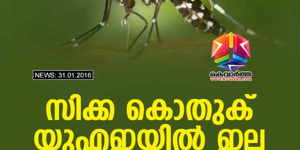 സിക്ക കൊതുക് യുഎഇയില്‍ ഇല്ല: ആരോഗ്യ മന്ത്രാലയം