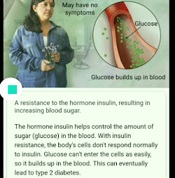 The Carnivore Diet Story Part 3