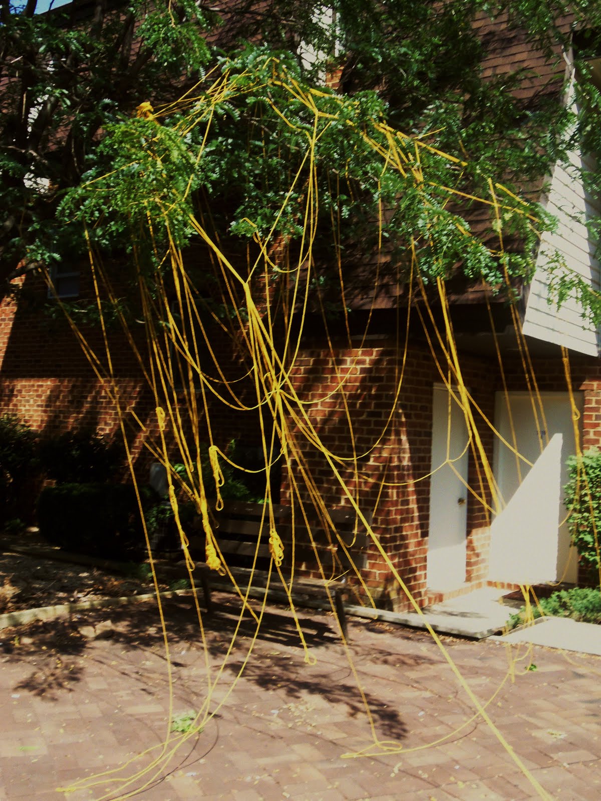 Objects as Evidence String Tree