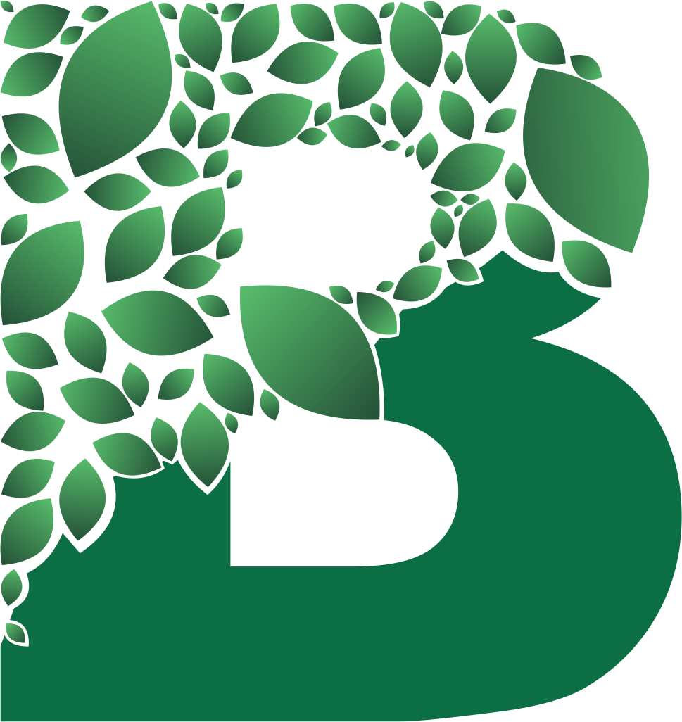 B Logo Design PNG