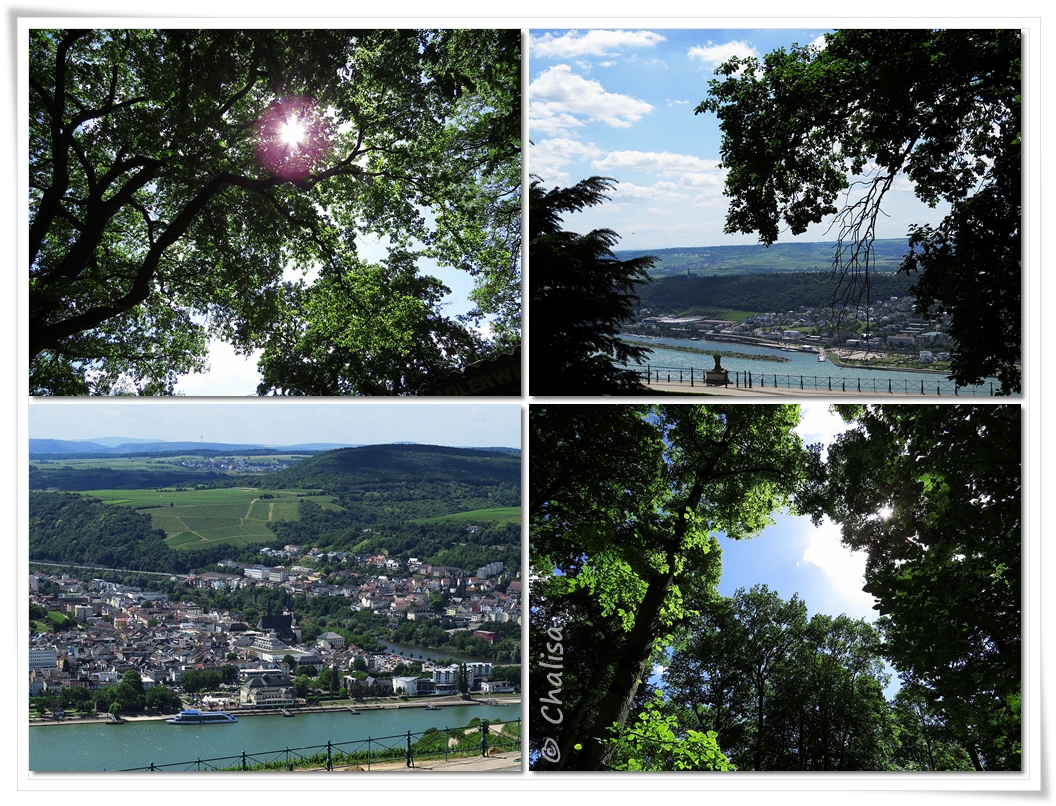Chalisas Klostergärtchen: Wandern auf dem Rheinsteig Chalisas Klostergärtchen: Wandern auf dem Rheinsteig