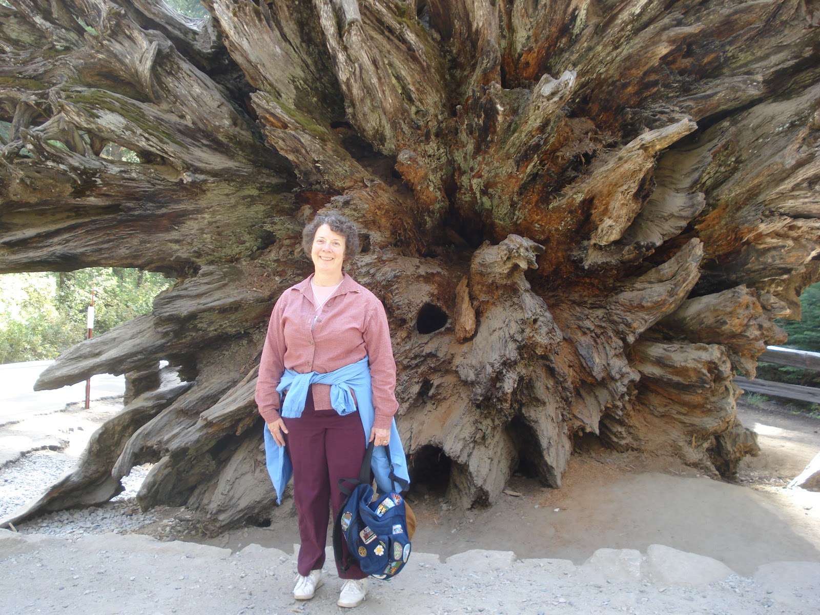 With Strings Attached Road Scholar Yosemite