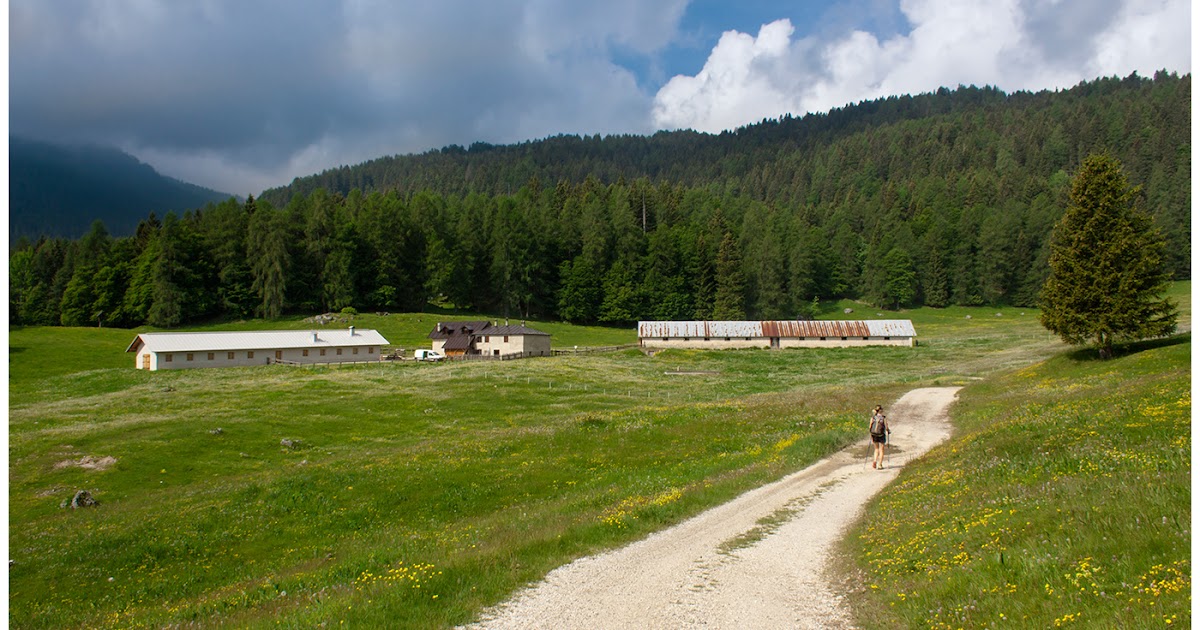 Mai Zeder Da malga Arza a malga Termoncello