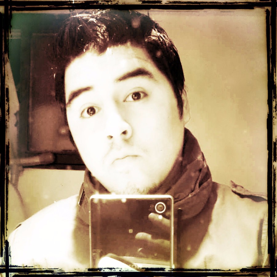 LITERATURA Y POESIA JOSE VERGARA