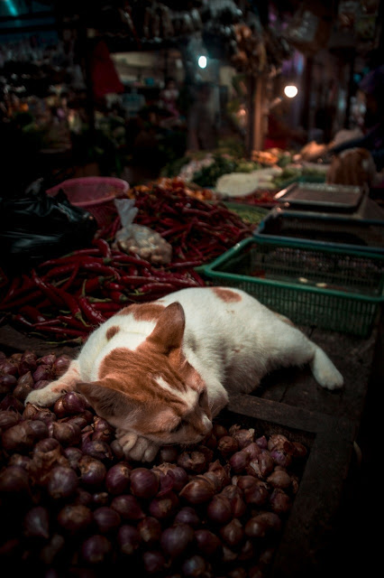 Komunitas Hunting Pasar Balikpapan