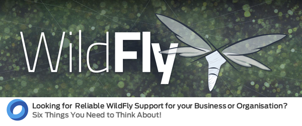 Expert WildFly Support from the UK's Leading Middleware experts