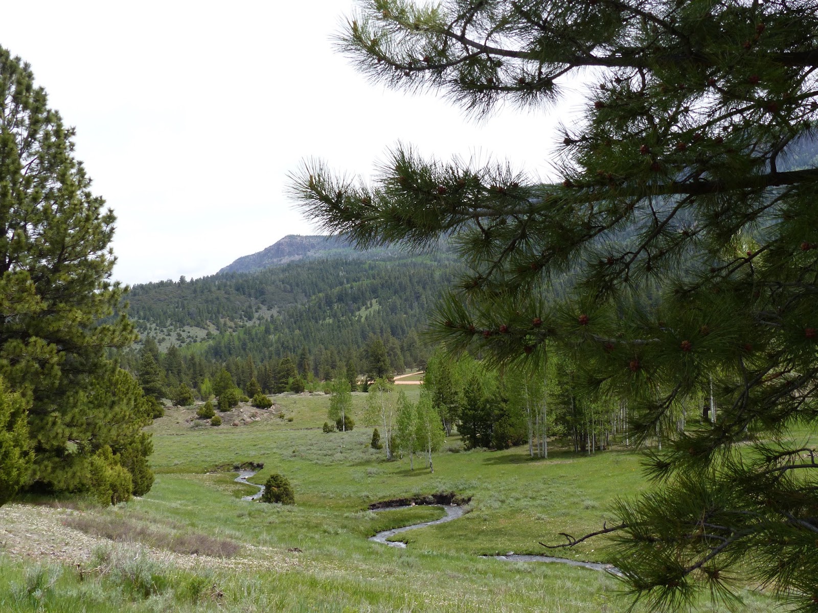 Land Cruising Adventure Camping near Yankee Meadows Campground Dixie