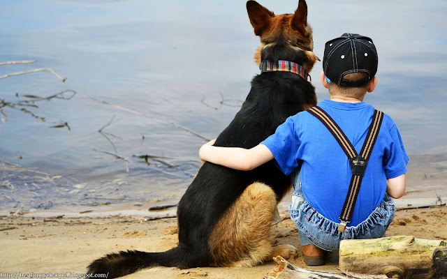 Boy and dog