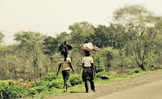 Carrying firewood home in Cameroon