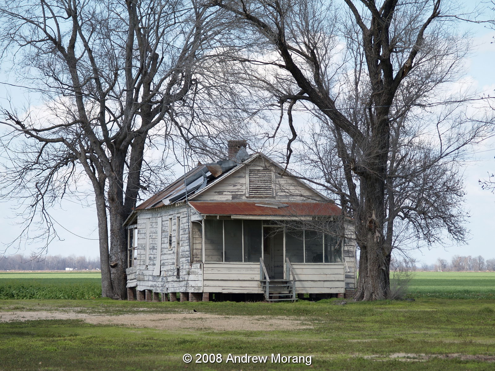 Urban Decay The Mississippi Delta 5 Arcola