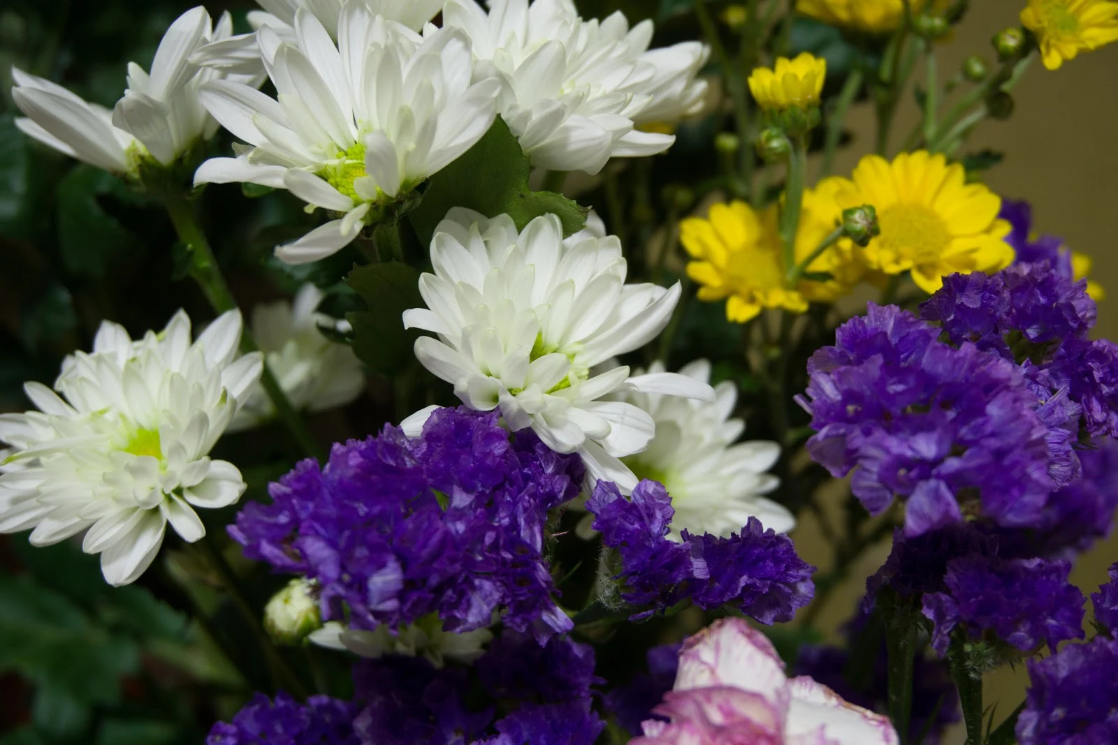 α5100とSELP1650の作例：室内の花瓶の白と紫と黄色の花々