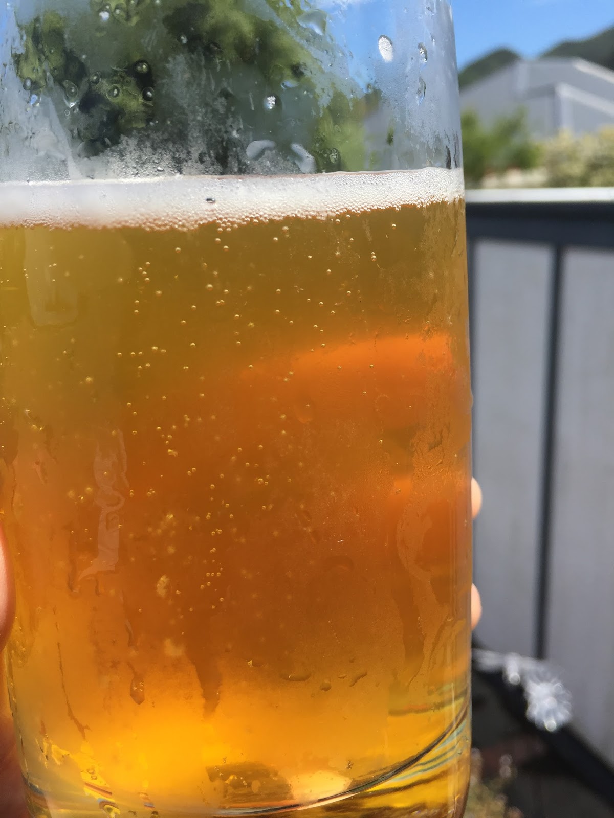 ↠ An experiment with a lager kit, riwaka hops and a bottle of Golden