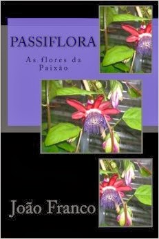 Passiflora-As flores da Paixão.