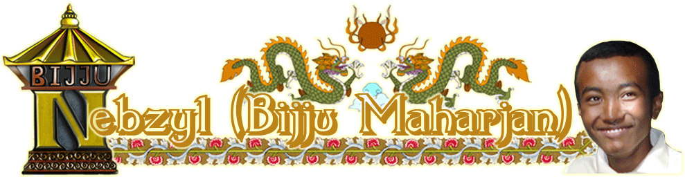 Bijju's Collections