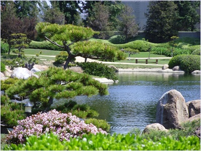 สวนญี่ปุ่น (Japanes Garden)