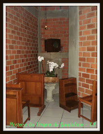 Emoções Primárias