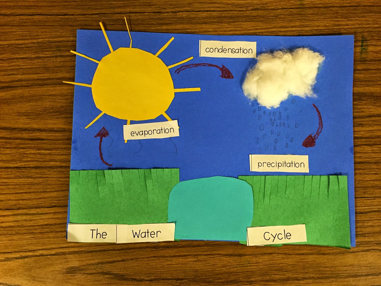 First Grade Fanatics: Water Cycle