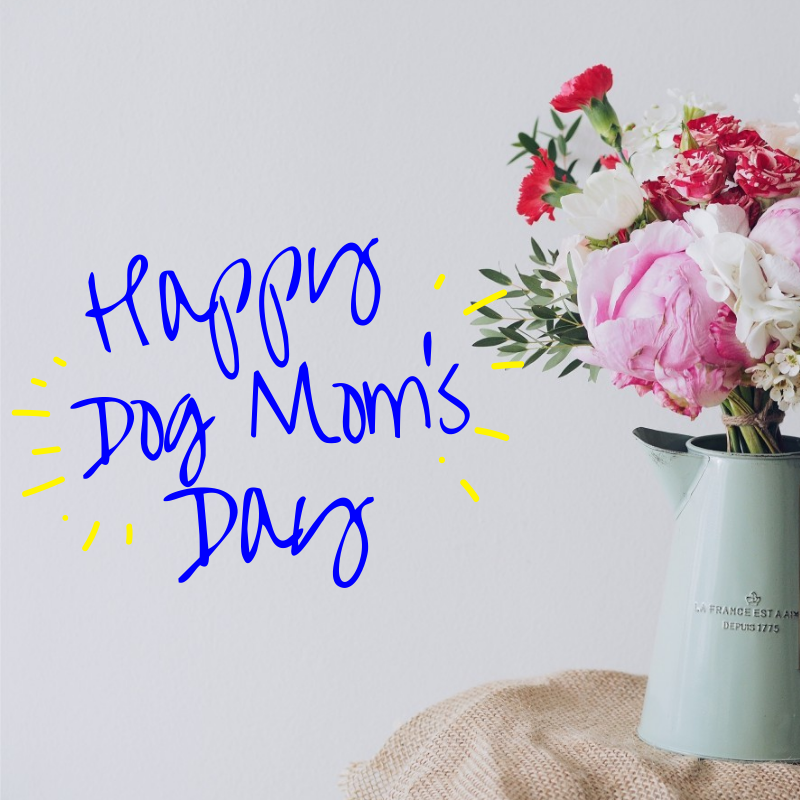 dog mom's day