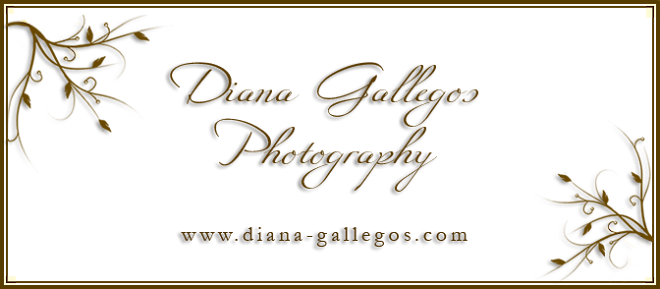Diana Gallegos Photography