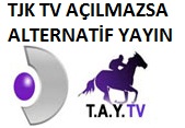 tay tv izle