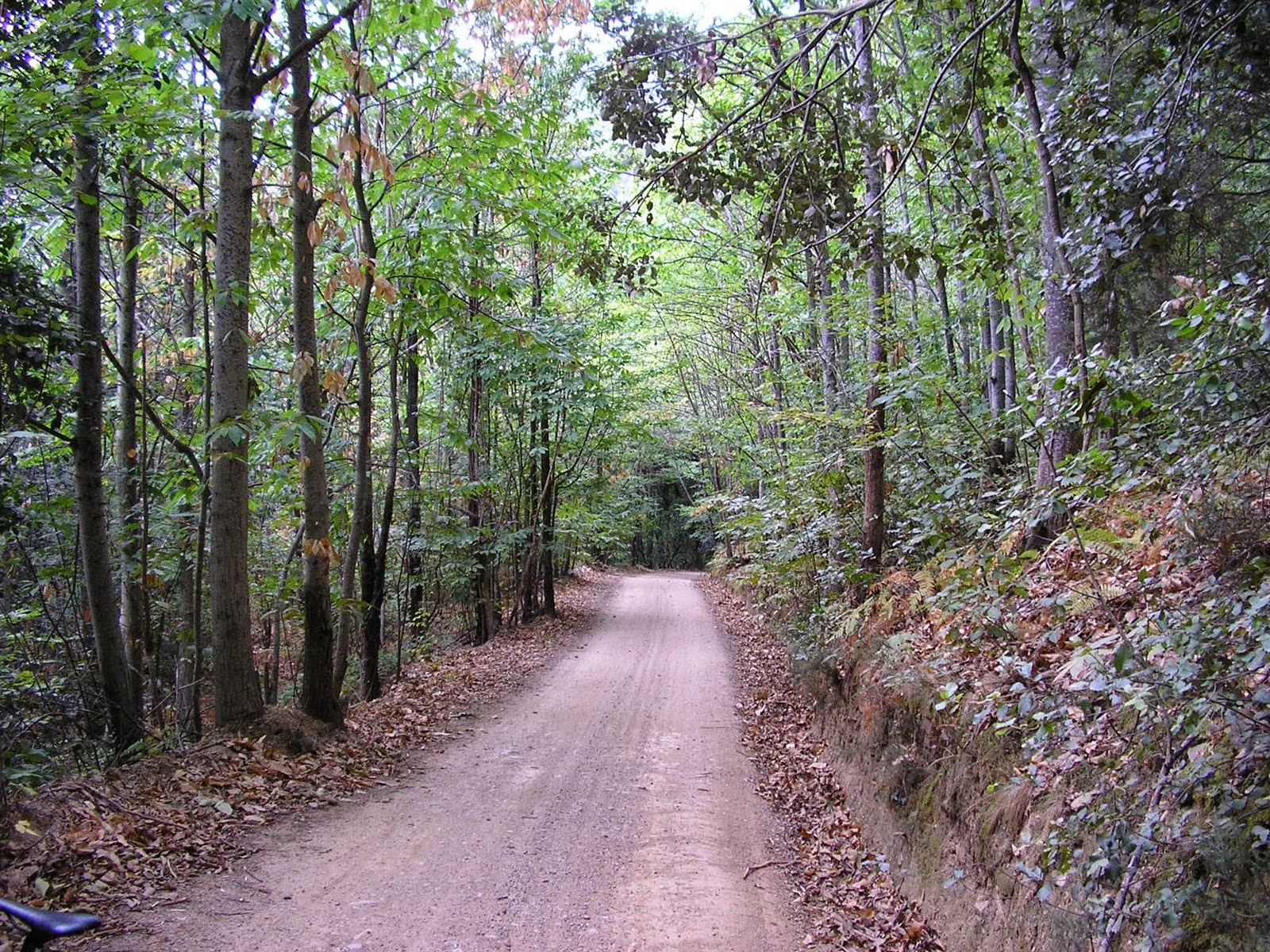Parc del Montnegre i el corredor