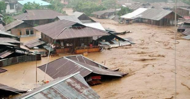Antara Jagung Dan Banjir. | Www.metromini.info