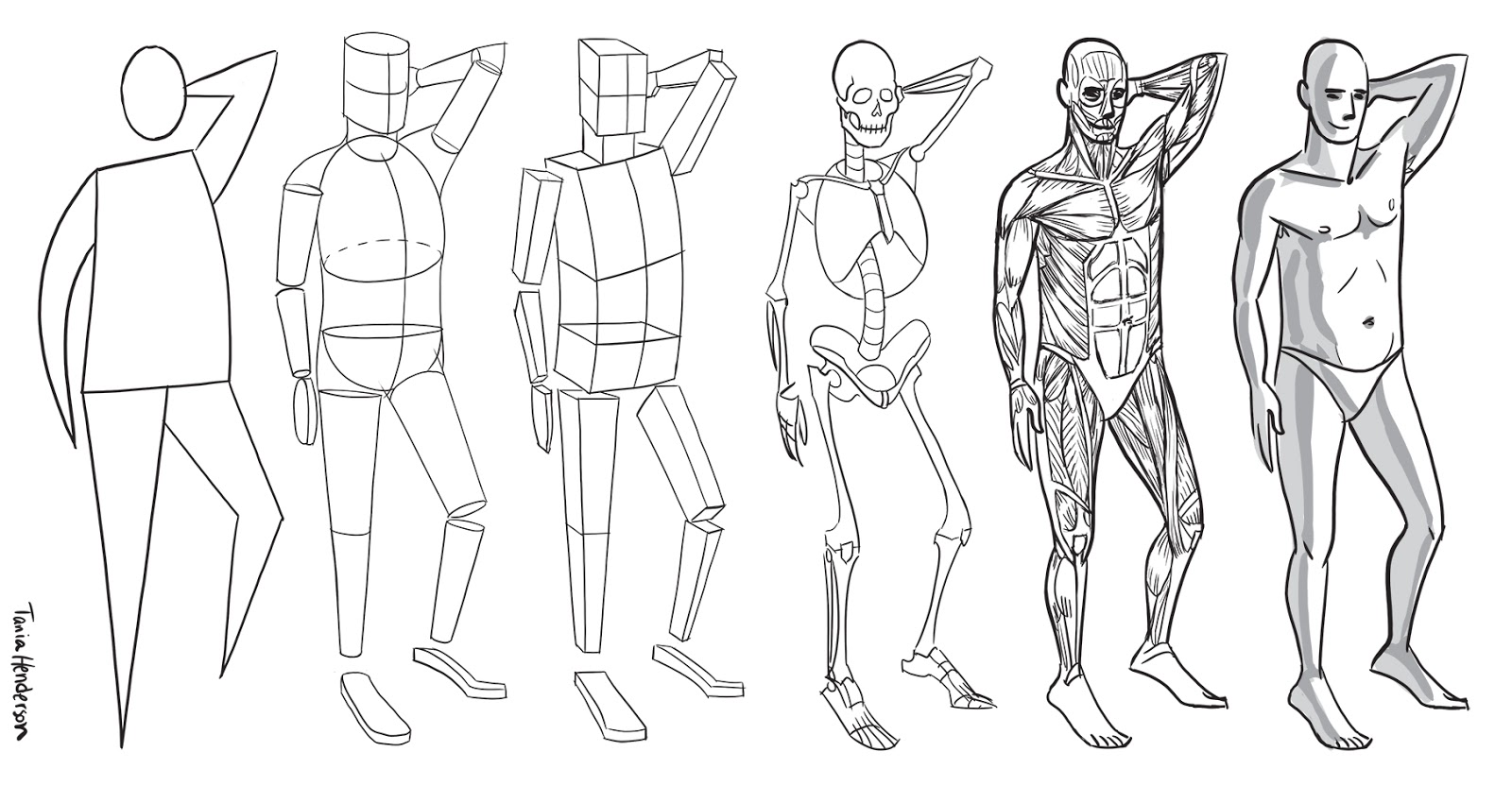 The Figure Walt Reed Pdf