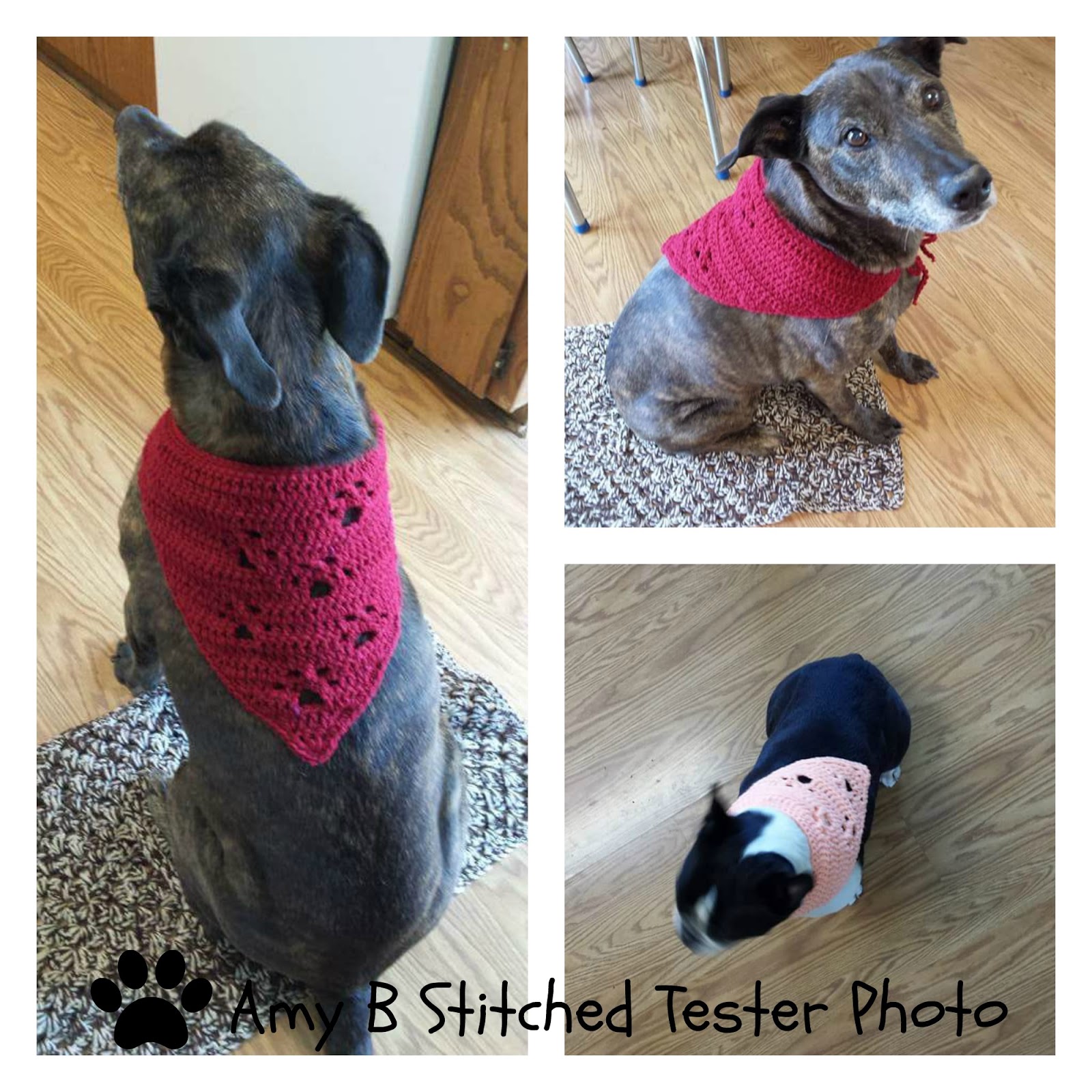 MEANDERING PAW PRINTS PET SCARF FREE Crochet Pattern