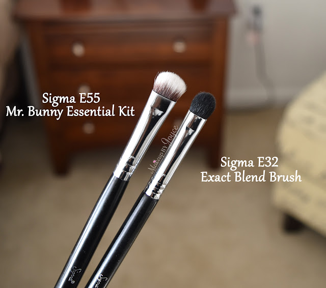 Sigma E32 Exact Blend Brush Review