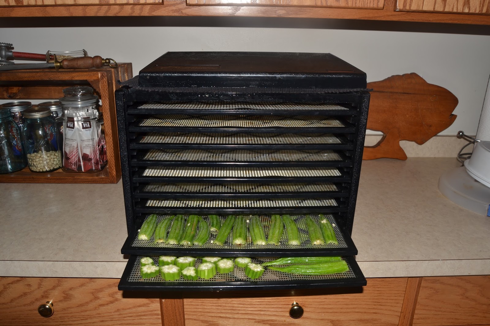 Perky Prepping Gramma How To Make Dehydrated Okra Chips