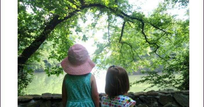 Tree Theme- Weekly Home Preschool | What Can We Do With Paper And Glue