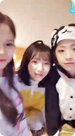 토끼 비니 & 고양이 진이.gif | 인스티즈