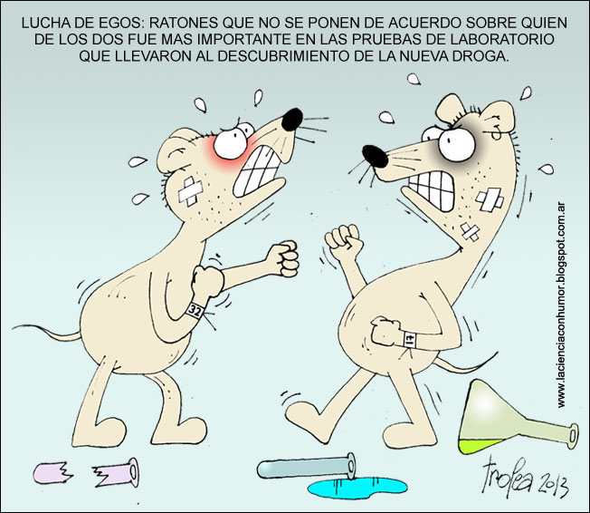 wiki de ratas gordas con diabetes zucker