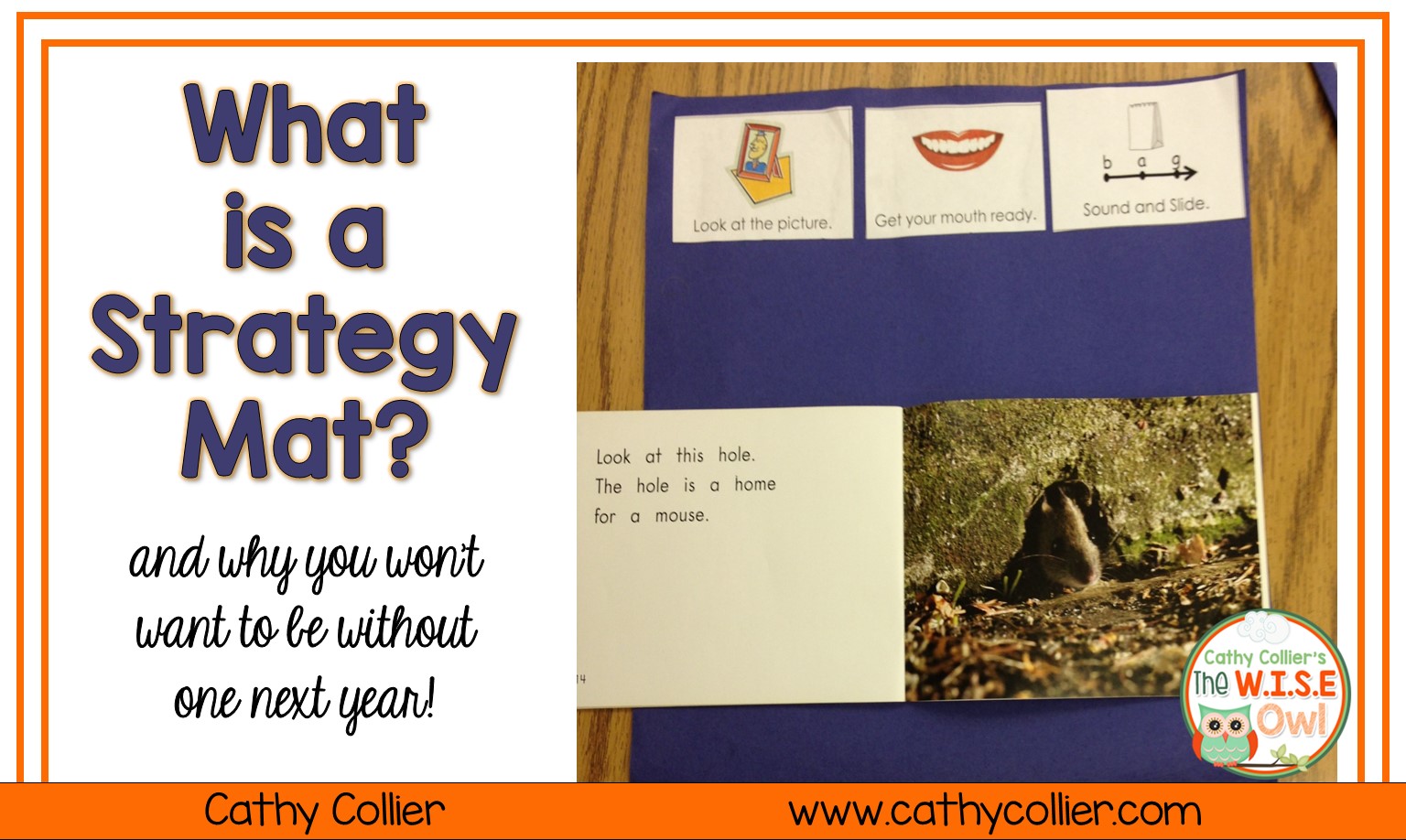 Creating independent readers is one of the most important steps in teaching reading.  Students can use Strategy Mats to become independent readers.  Adding picture cues to help them be independent is invaluable!