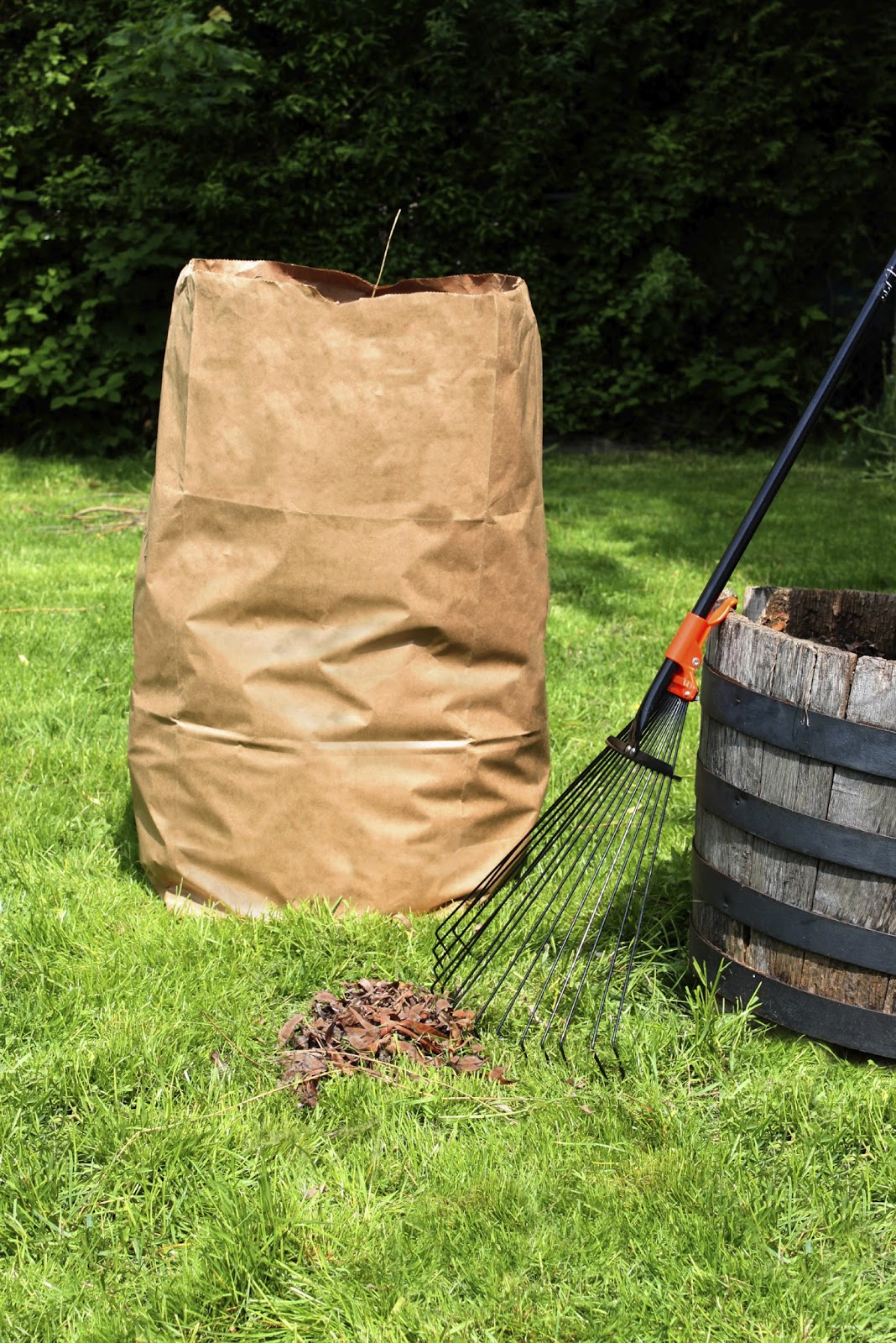 LEAF COLLECTION PILOT PROGRAM ALLOWS SOME TO USE LEAF