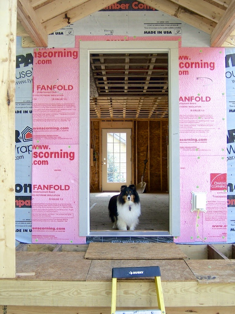 SoPo Cottage It's Starting to Look Like a House With a Surprise