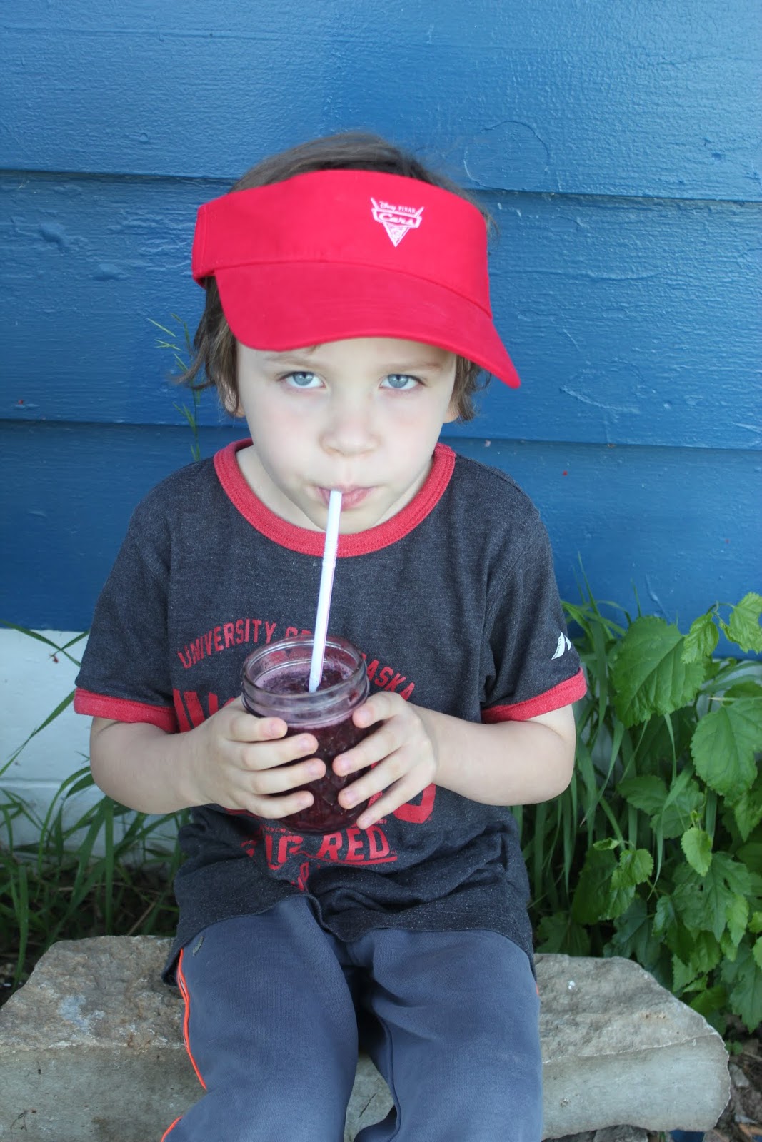 Sweet and All-Natural Blueberry Slush Frozen Drink Recipe