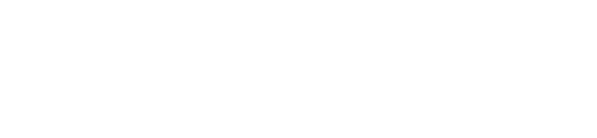 Ribelle testet