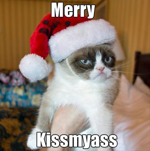 grumpy-cat-merry-kiss-my-ass-funny-.jpg